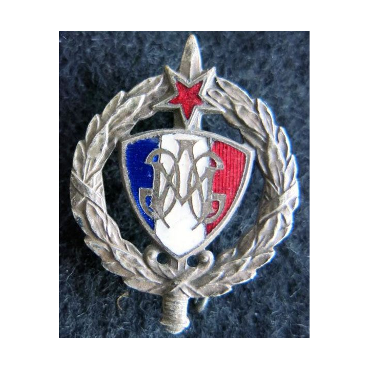 insigne des Anciens combattants fédération Maginot le Médailler Paris
