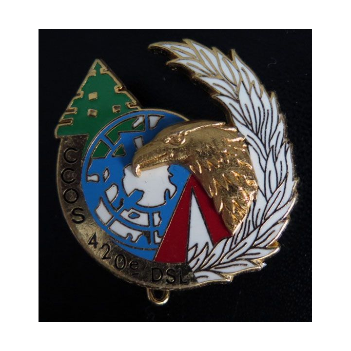 420° DSL : Compagnie de commandement d'organisation services CCOS