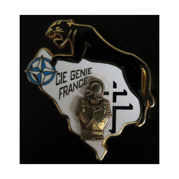 34° RG : CIE DU GÉNIE FRANCE DMNSE (ARTHUS BERTRAND) N° 043