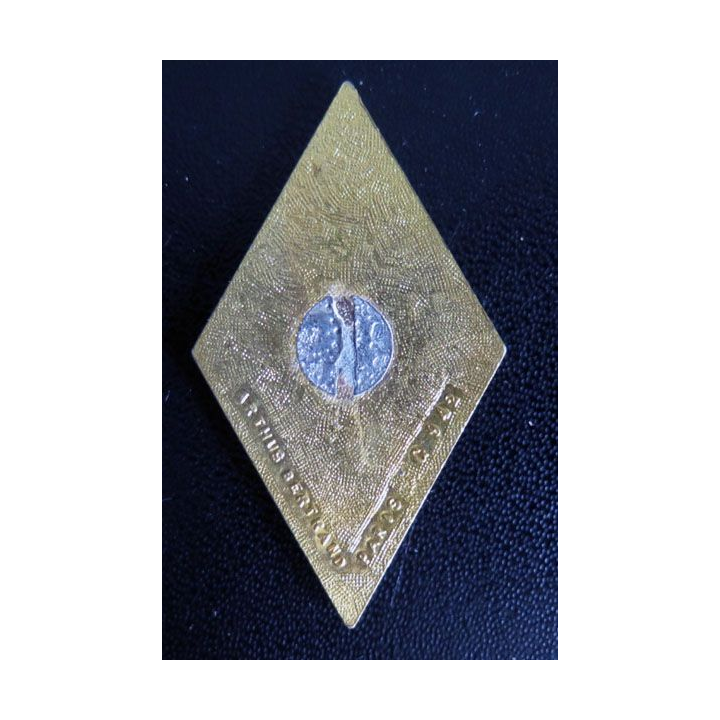 insigne 4° régiment de cuirassiers Jeanne d'Arc de fabrication Arthus