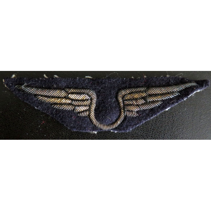 Insigne tissu de l'armée de l'air personnel non navigant canetille