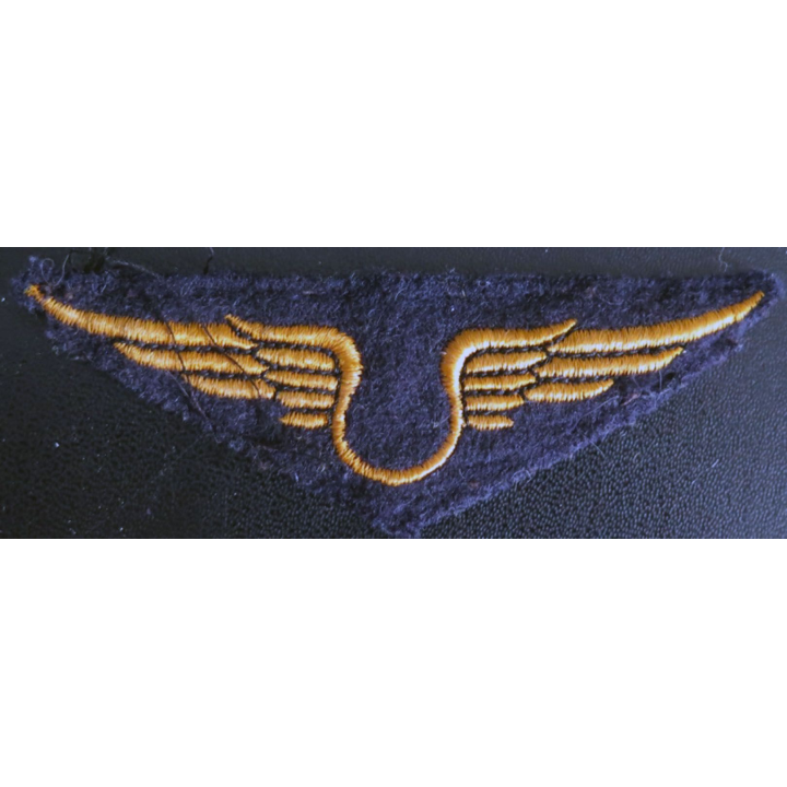 Insigne tissu de l'armée de l'air troupe orange 