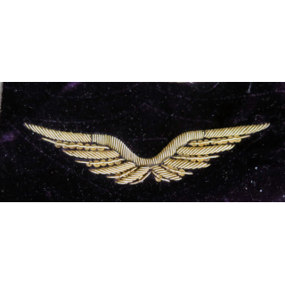 Insigne tissu de casquette d'officier de l'armée de l'air en cannetille
