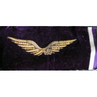 Insigne tissu de casquette d'officier de l'armée de l'air en cannetille