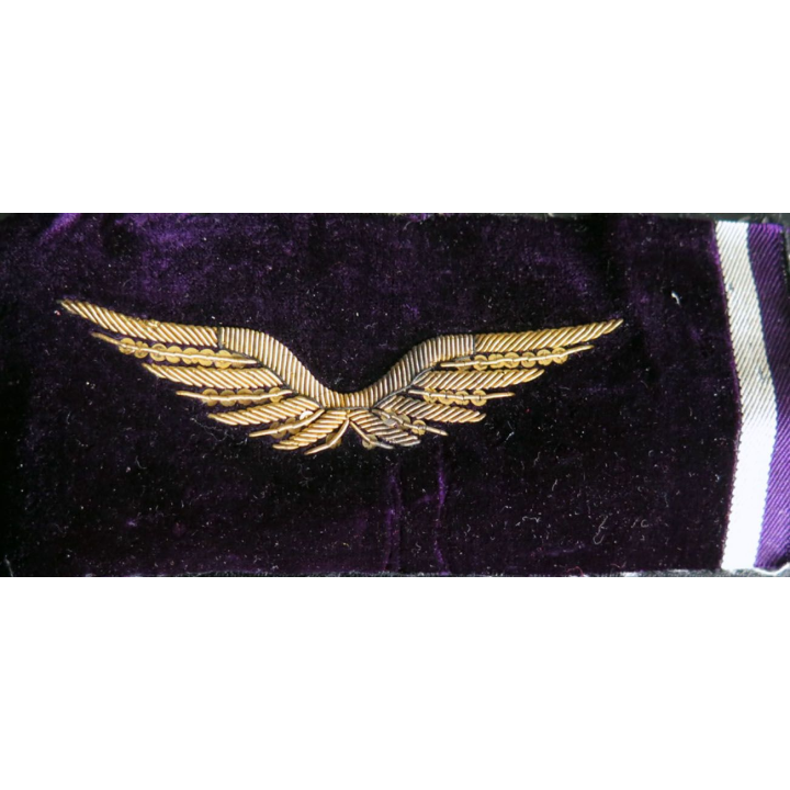Insigne tissu de casquette d'officier de l'armée de l'air en cannetille