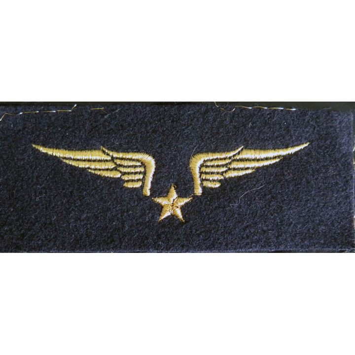 Insigne tissu de brevet de pilote de l'armée de l'air