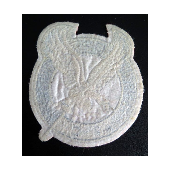 BA Insigne escadron protection 42 base aérienne 101 Toulouse Francazal