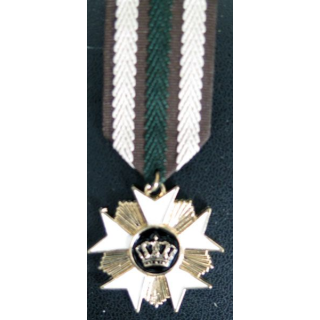 MEDAILLES JOUETS : Médaille pour déguisemant enfants en métal embouti peint
