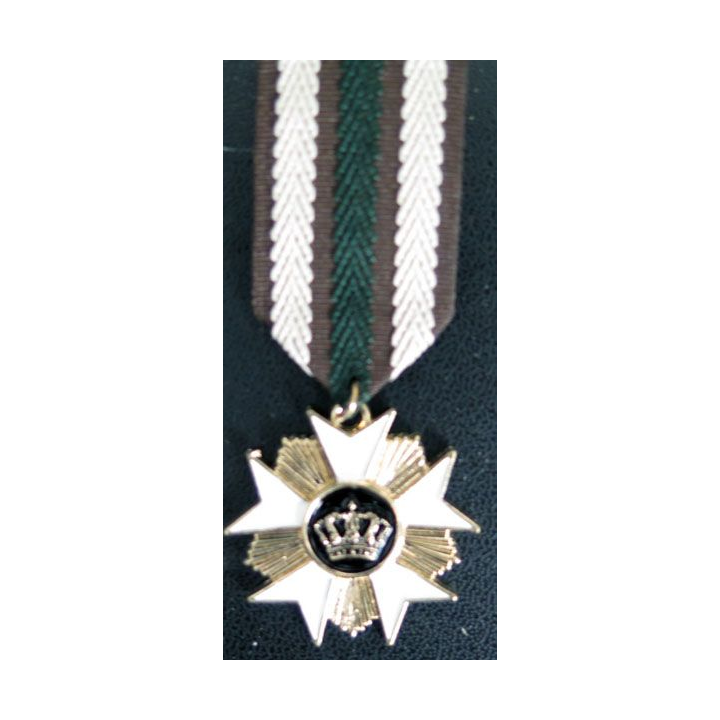 MEDAILLES JOUETS : Médaille pour déguisemant enfants en métal embouti peint
