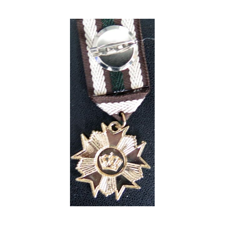 MEDAILLES JOUETS : Médaille pour déguisemant enfants en métal embouti peint