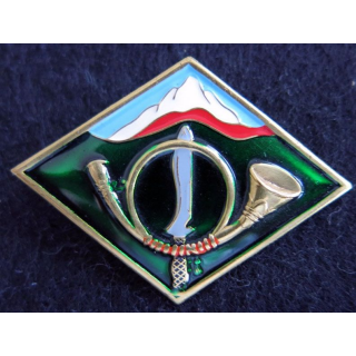 ITALIE : insigne métallique d'une unité Alpini  Battaglione métal embouti