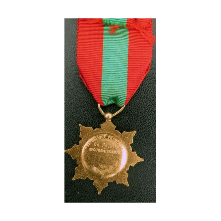 médaille de la famille française la Patrie reconnaissante grade argent