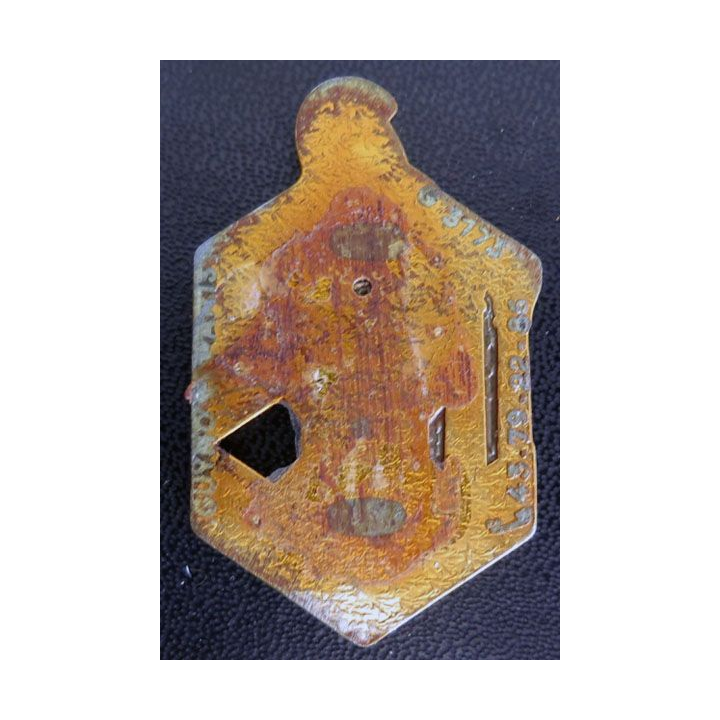 6° REG : 6° RÉGIMENT ÉTRANGER DU GÉNIE (GUYMO 3173) 6°REG