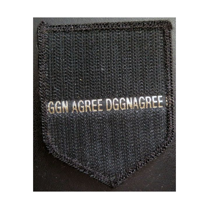 GENDARMERIE : insigne tissé de manche de la région Midi Pyrénées