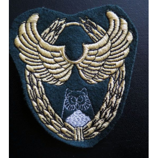 Insigne patch écusson tissu du Groupe de recherche du 13° RDP