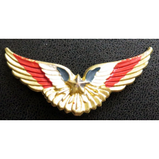 brevet de pilote de l'armée de l'air après guerre en aluminium peint