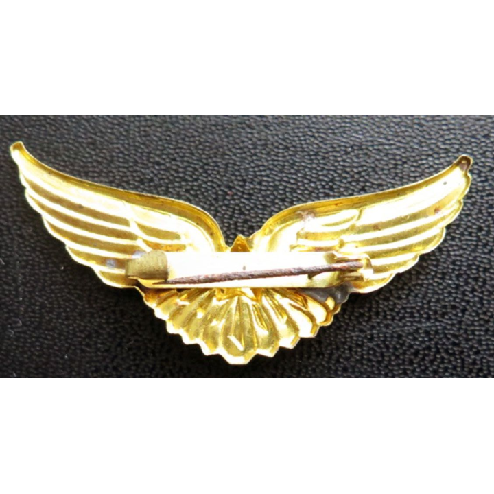 brevet de pilote de l'armée de l'air après guerre en aluminium peint