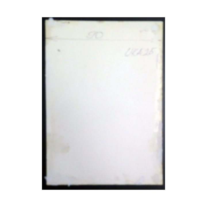 URSS : photo 23,3 x 16,3 cm Commissaire du régiment blindé soviétique1939