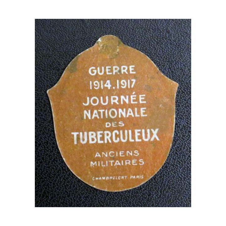 Journée nationale des tuberculeux anciens militaires guerre 1914-1917