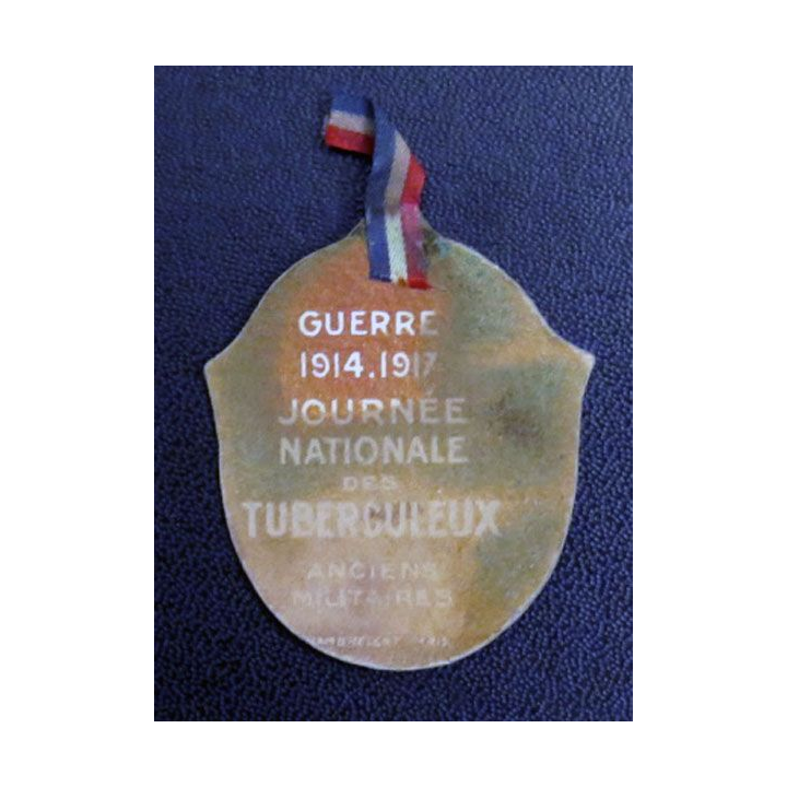Journée nationale des tuberculeux anciens militaires guerre 1914-1917