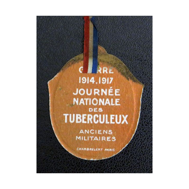 Journée nationale des tuberculeux anciens militaires guerre 1914-1917