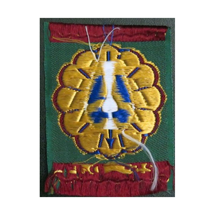 25° DP : Insigne tissu de la 25° division parachutiste