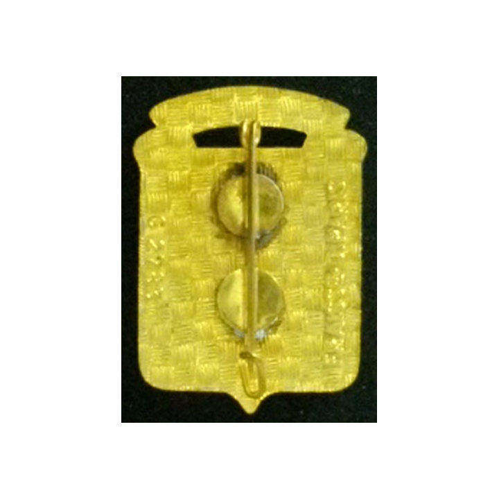 243° RI : 243° RÉGIMENT D'INFANTERIE TOUT OU RIEN (FR 2783) ÉMAIL