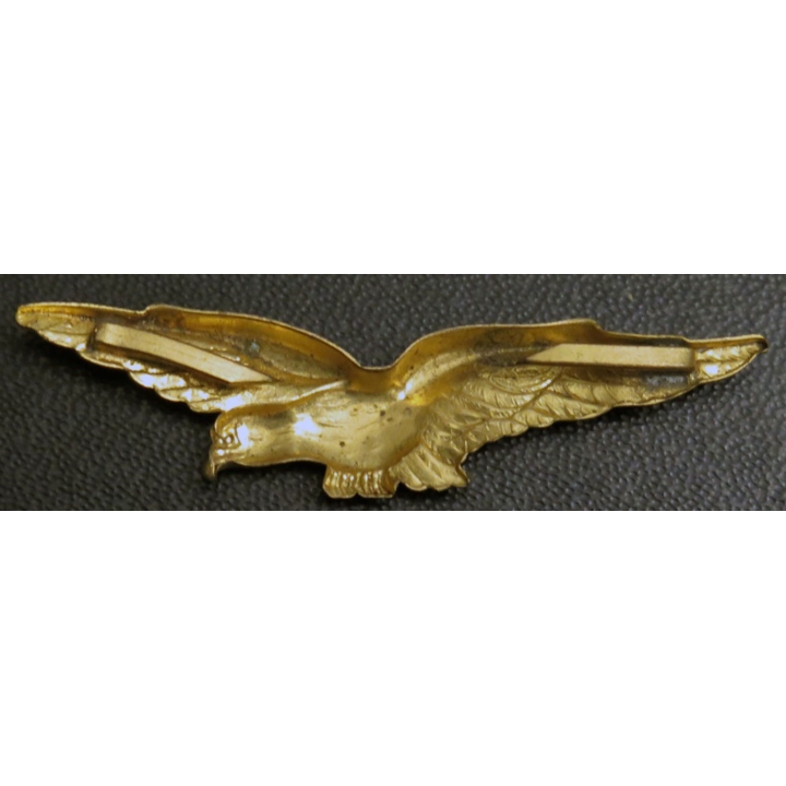 insigne épaulette de l’armée de l’Air charognard en métal doré embouti 