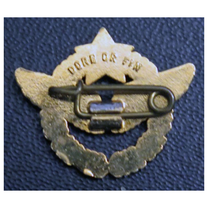 brevet de pilote d'avion de l'armée de l'air doré l'or fin insigne