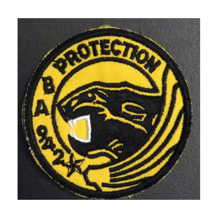 BA 942 : Insigne tissu escadron protection de la base aérienne 942