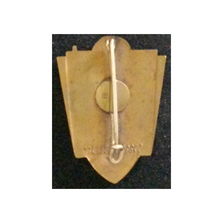 213° RÉGIMENT RÉGIONAL (ABPD) ÉMAIL