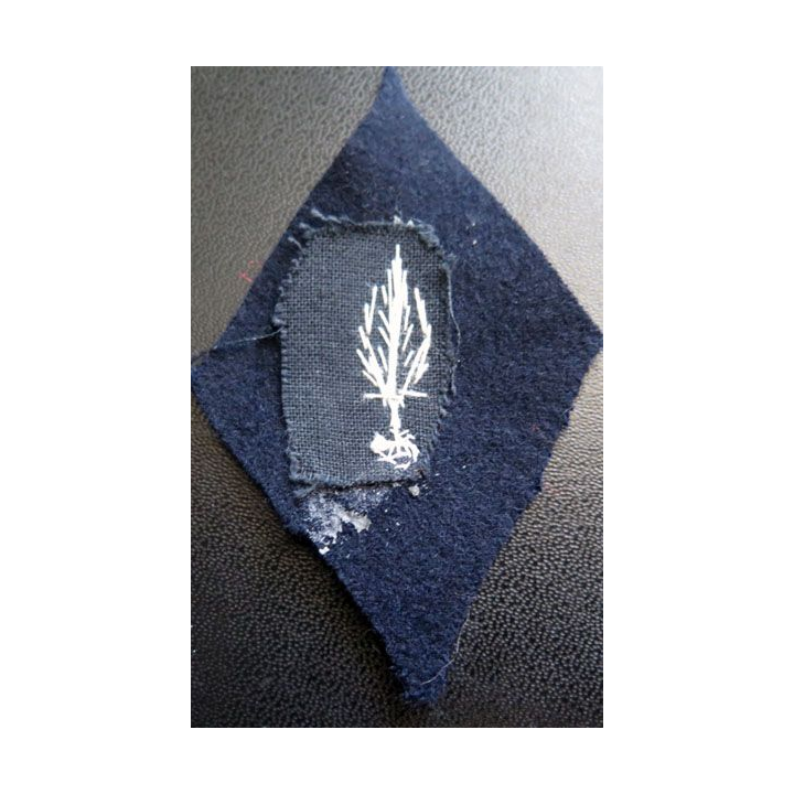 LOSANGE DE BRAS MODÈLE 45 : Corps des experts cadre cannetille argent
