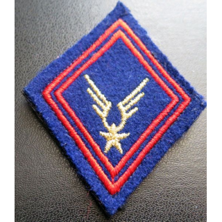 LOSANGE DE BRAS MODÈLE 45 : régiment ALAT infanterie cadre sur scratch