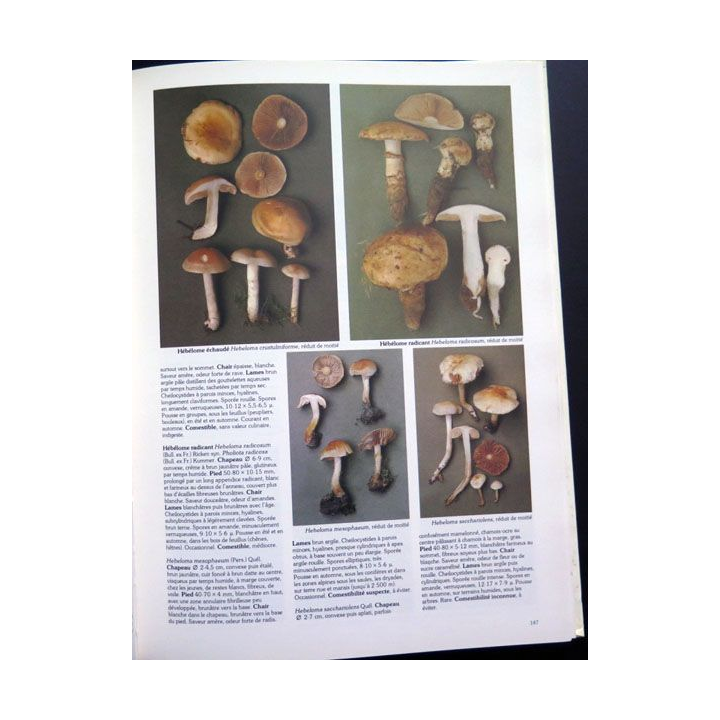 Les champignons de Roger Phillips chez France Loisirs