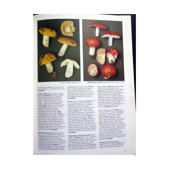 Les champignons de Roger Phillips chez France Loisirs