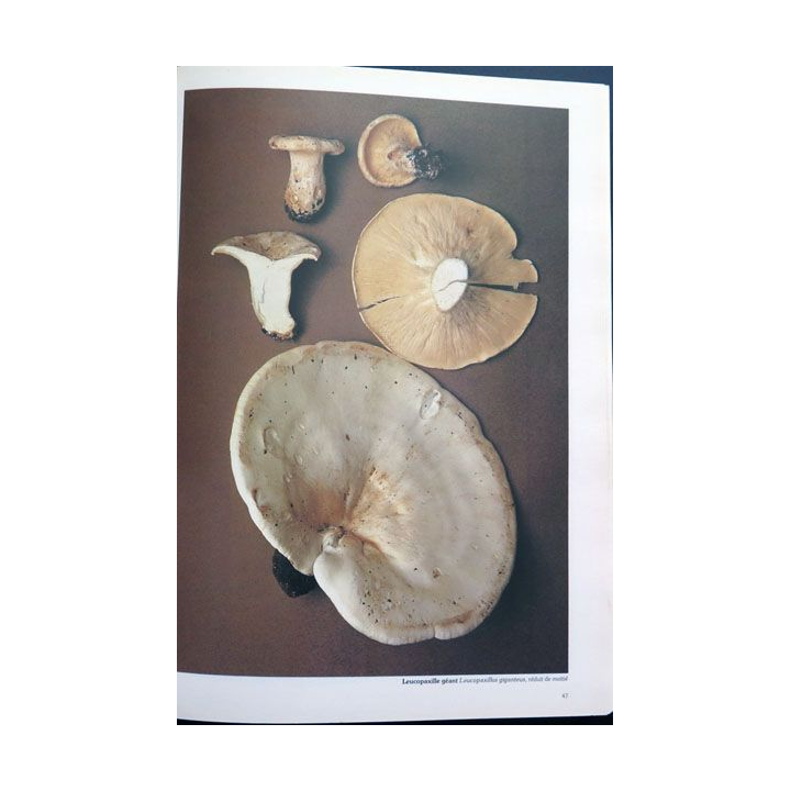Les champignons de Roger Phillips chez France Loisirs