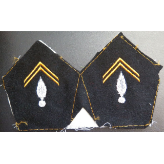 Paire de soutache ( insigne de col ) du train parachutiste en cannetille
