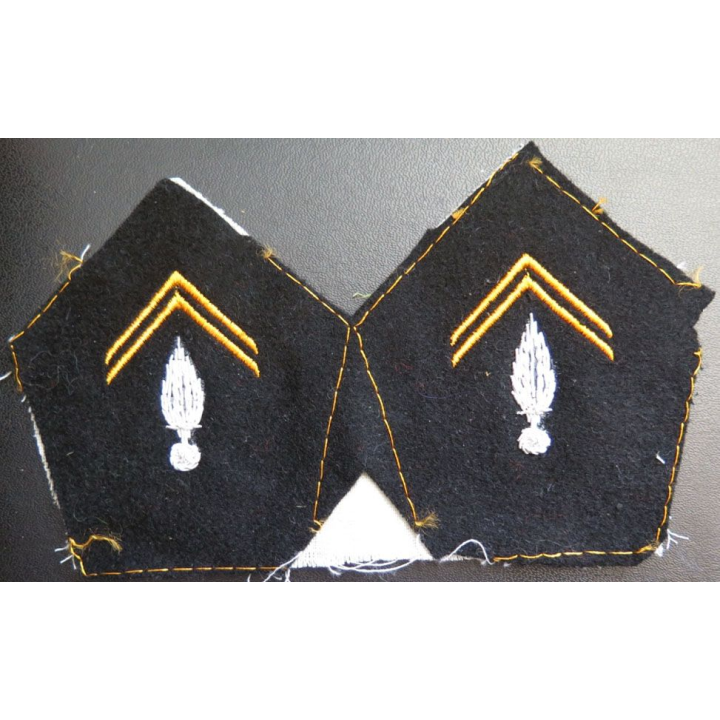 Paire de soutache ( insigne de col ) du train parachutiste en cannetille