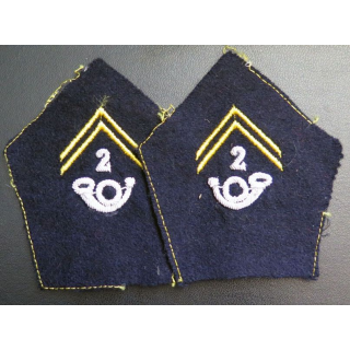 Paire de soutache ( insigne de col ) du 2° bataillon chasseurs alpins