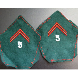 Paire de soutache ( insigne de col ) du 5° RCS du Train