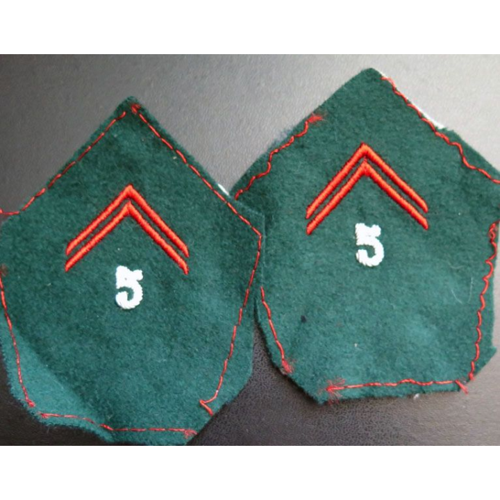Paire de soutache ( insigne de col ) du 5° RCS du Train