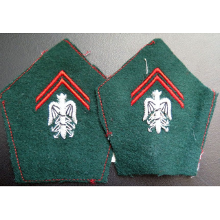Paire de soutache ( insigne de col ) des officiers brevetés du train en cannetille