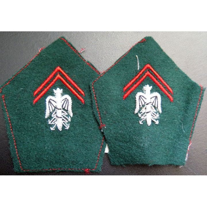 Paire de soutache ( insigne de col ) des officiers brevetés du train en cannetille