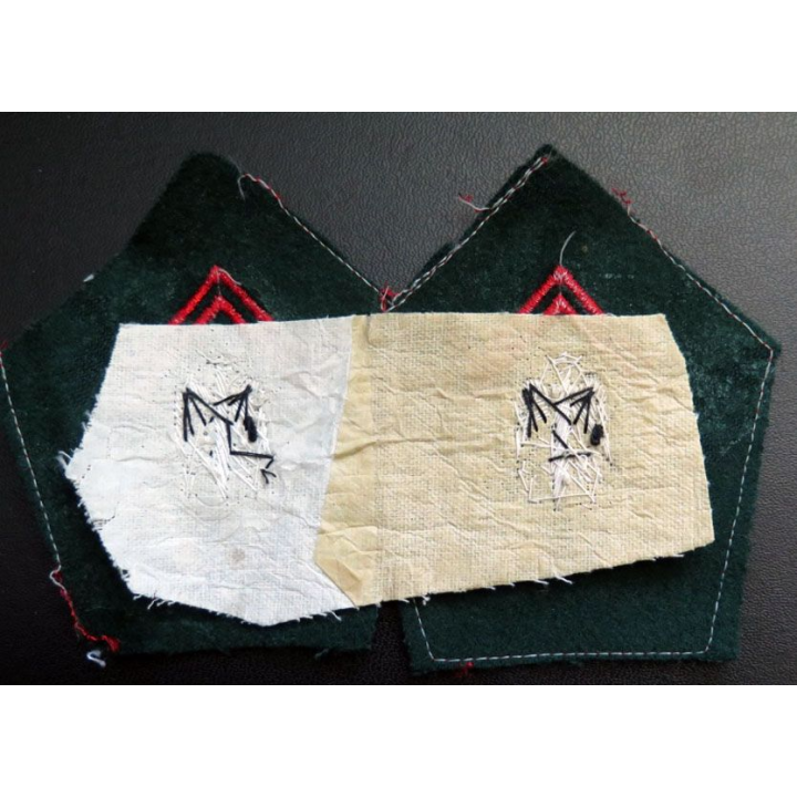 Paire de soutache ( insigne de col ) des officiers brevetés du train en cannetille