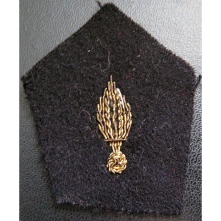 Soutache ( insigne de col ) du corps des experts en cannetille