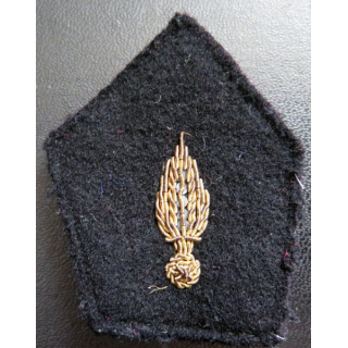 Soutache ( insigne de col ) du corps des experts en cannetille