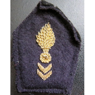 Soutache ( insigne de col ) du corps technique et administratif 