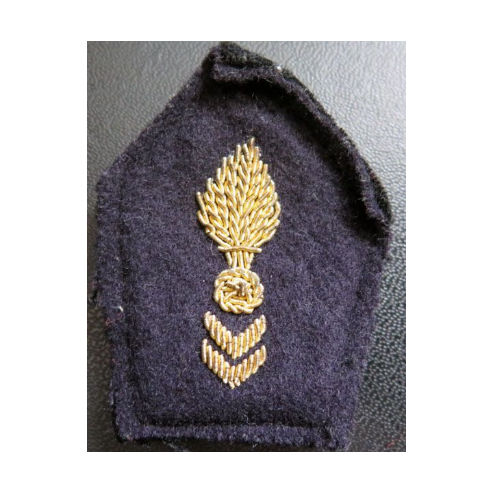 Soutache ( insigne de col ) du corps technique et administratif 