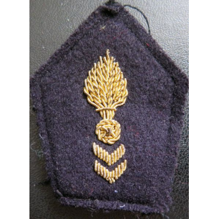 Soutache ( insigne de col ) du corps technique et administratif 
