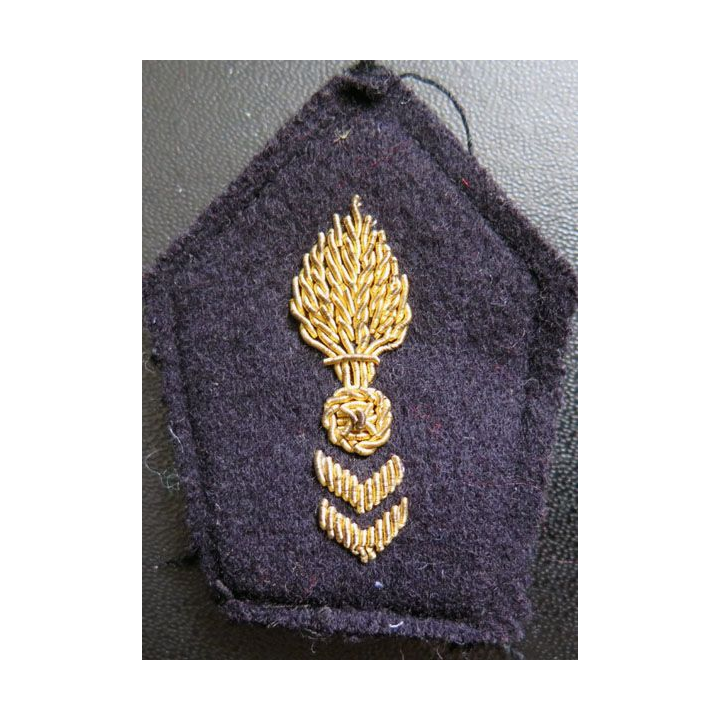 Soutache ( insigne de col ) du corps technique et administratif 